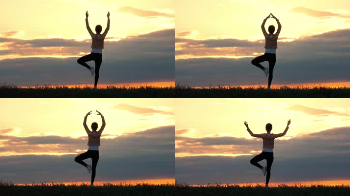 yoga 瑜伽 健身养生减肥 