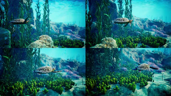 海龟 海洋 梦幻海底  