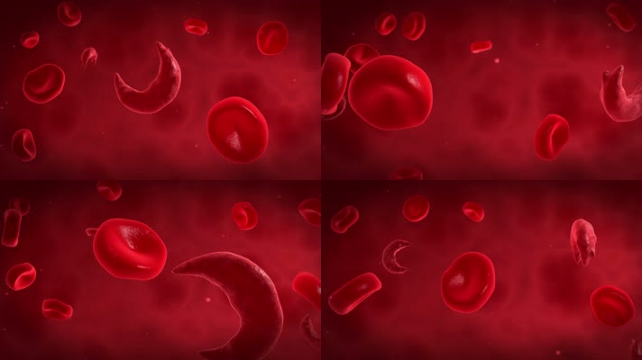 红细胞红血球