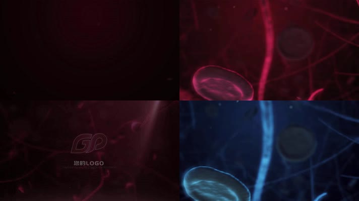 科技医学血红细胞毛细血管穿梭LOGO片头