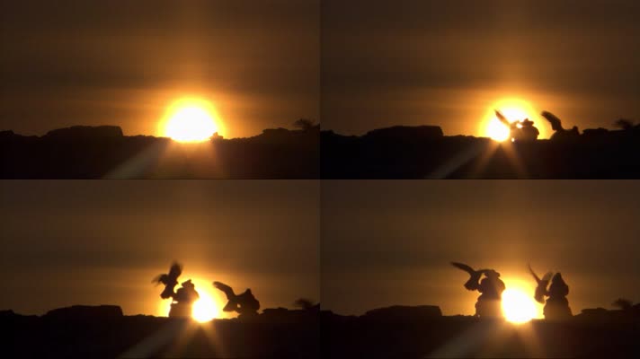 夕阳下的蒙古骑手