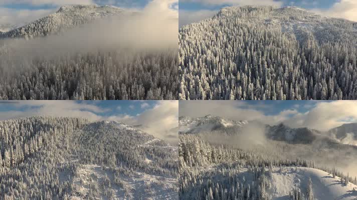 4k航拍绝美雾凇雪山