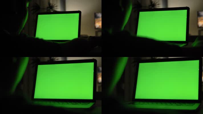 笔记本电脑绿屏  
