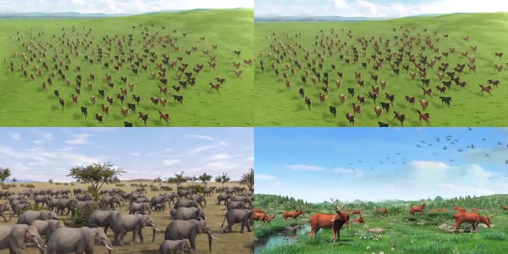 非洲大草原生态系统动物世界3D动画