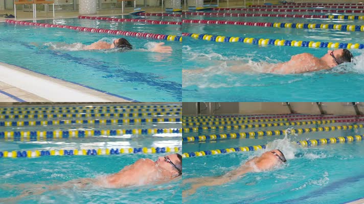 专业游泳 训练 优美泳姿 自由泳 游泳俱乐部