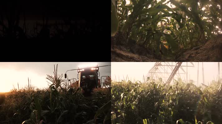 玉米农机收割农业科技