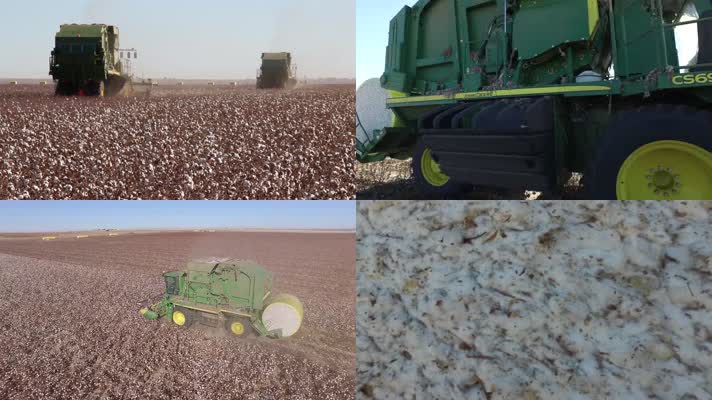 棉花丰收农机收割农业科技