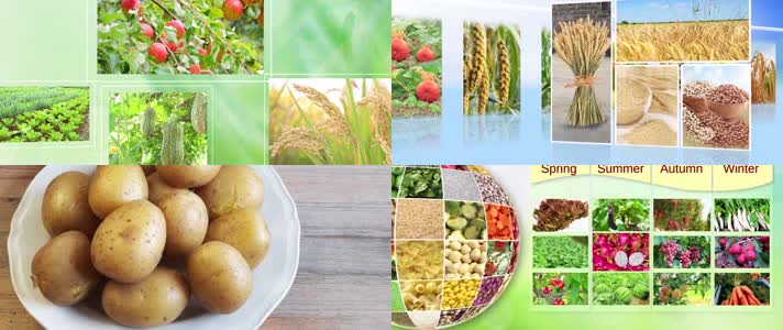 绿色农产品无公害瓜果蔬菜农业科技素材