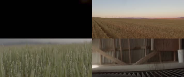 小麦田农场农业科技