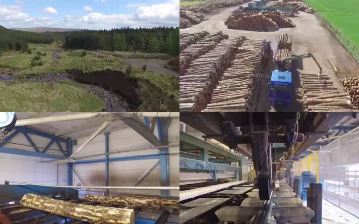 林业伐木伐树机器树林切割木材板材生产运输