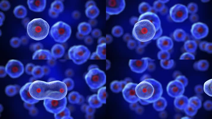 HD高清蓝色生物制药医学细胞卵子视频