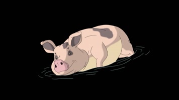 猪游泳表情包动画图片
