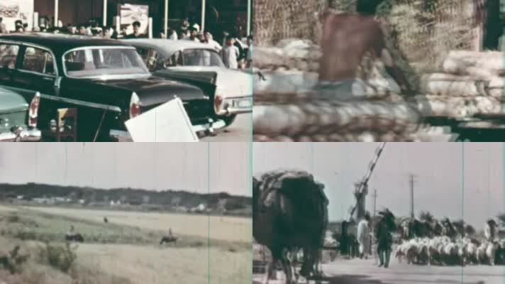 60年代马车人力车运输