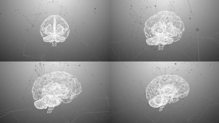 AI 人工智能 智慧 大脑结构 