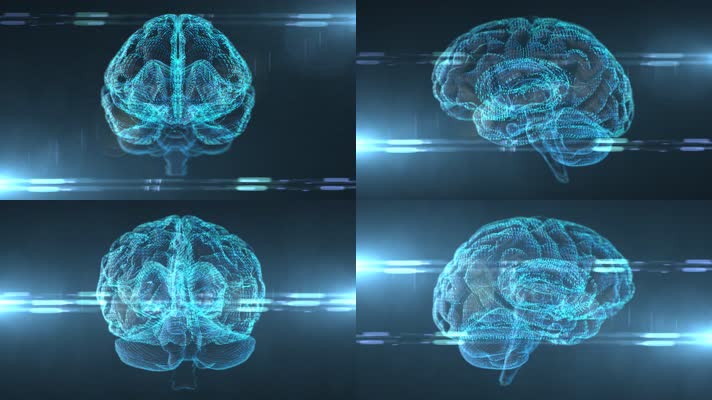 AI 人工智能 智慧 大脑结构 