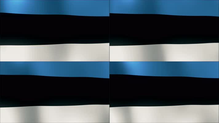 爱沙尼亚 国旗飘扬 国旗波浪状飘扬 