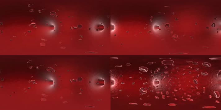 4K超清360VR血红细胞血管红细胞流动