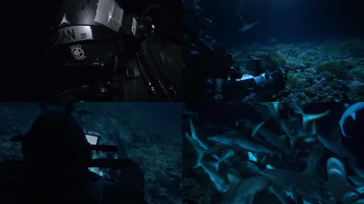夜视水下摄像机录制场景-海底世界