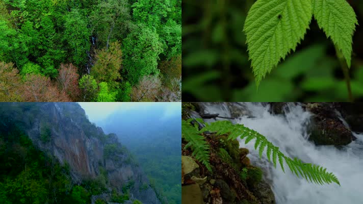 4k航拍大美中国山川自然生态森林自然保护区