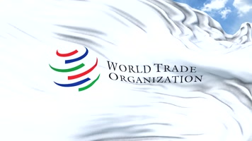 世贸wto世界贸易组织世贸组织旗帜舞台背景