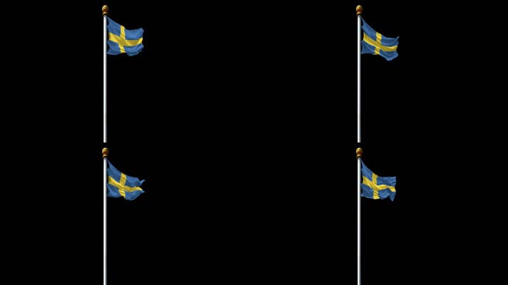 瑞典国旗带通道
