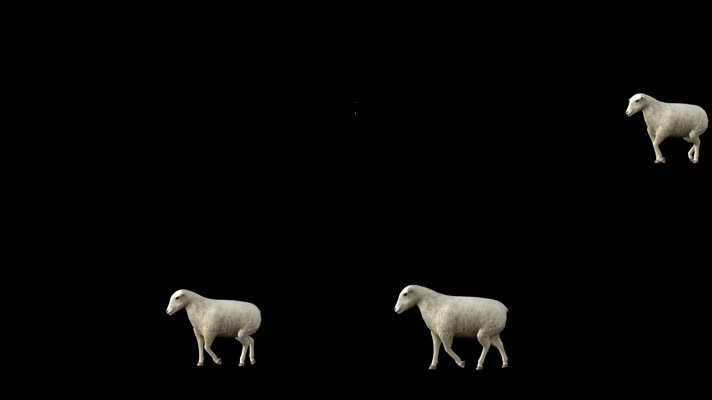 【HD】 一只绵羊（带透明通道）