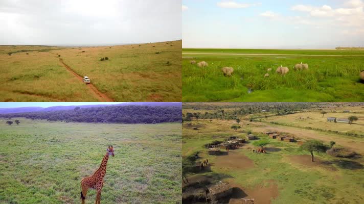 航拍非洲肯尼亚安博利公园