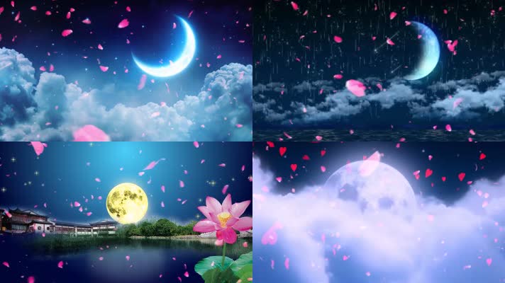 月亮代表我的心邓丽君配乐成品星空花瓣背景