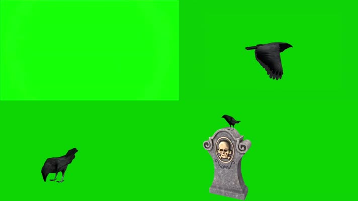 绿屏万圣节乌鸦在墓碑上