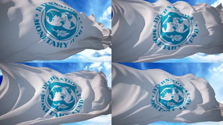 IMF国际货币基金组织旗帜
