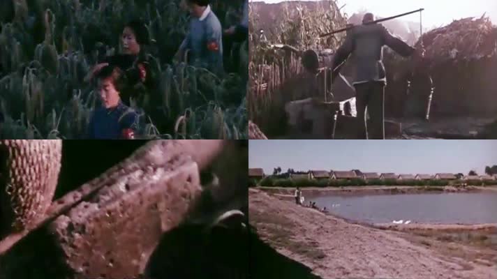 公社里的清晨-1960年代的中国农村