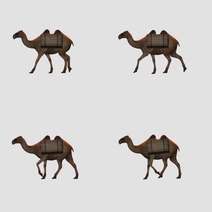骆驼+箱