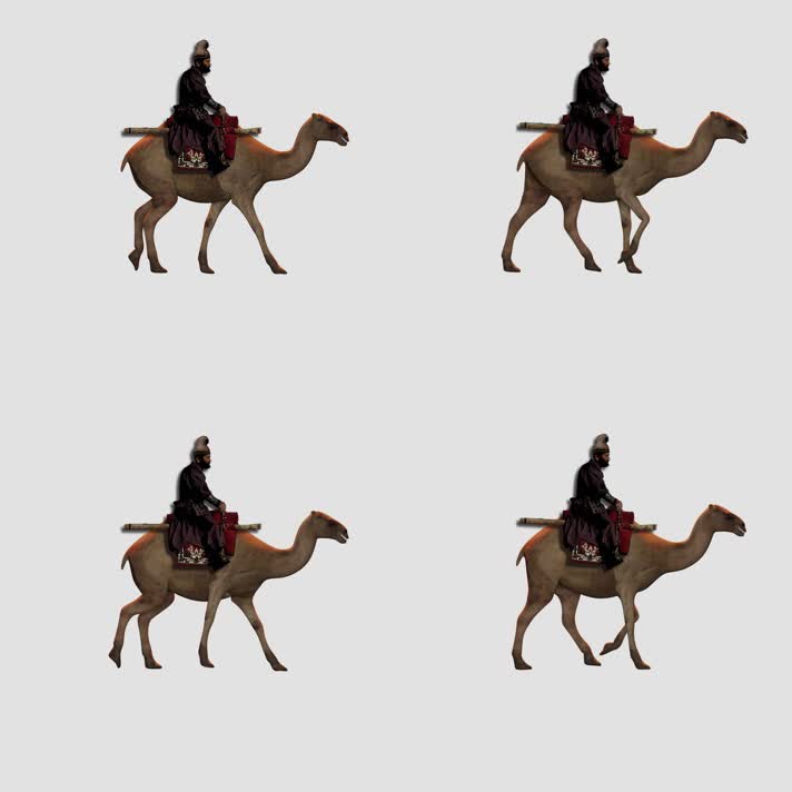 骆驼+人
