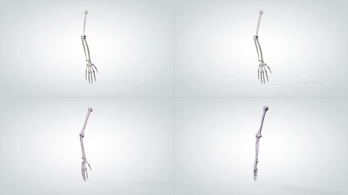 三维人体手臂模型 元素医疗研究视频