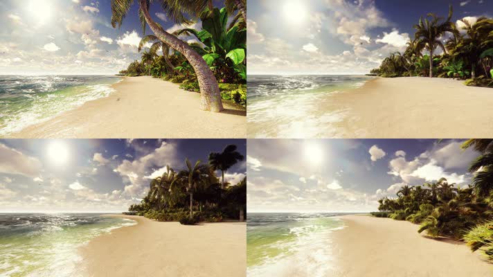 椰树阳光海岸