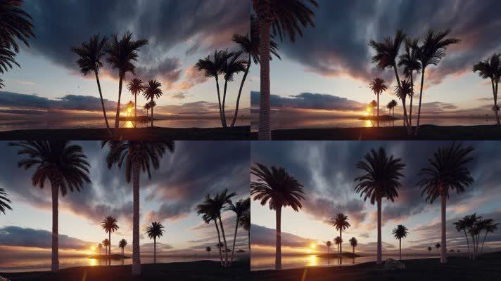 【4K】夕阳下的椰子树