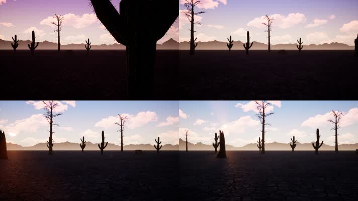 【4K】热带沙漠日落