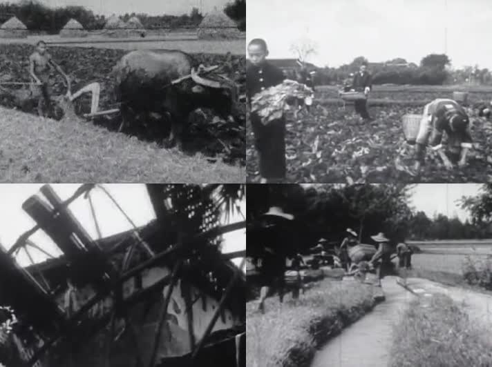 1940年的四川农村