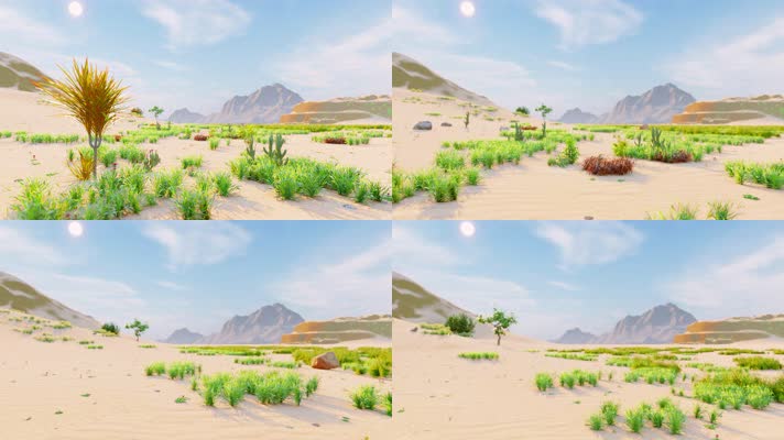 【4K】沙漠