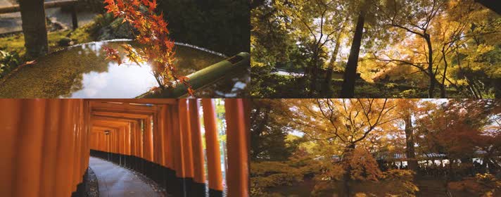 日本京都秋天美景