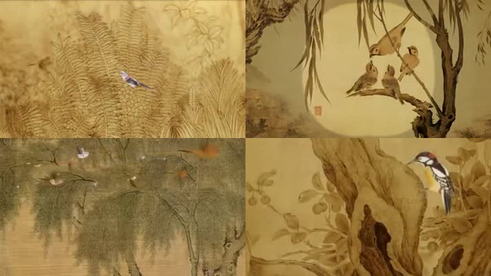 森林鸟水墨动画中国风