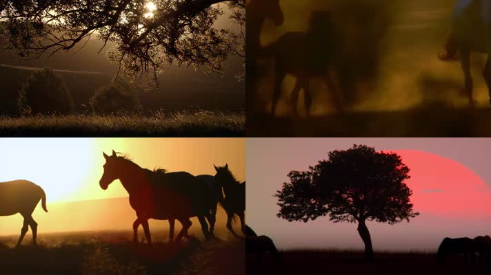 草原牧场群马奔腾黄昏夕阳
