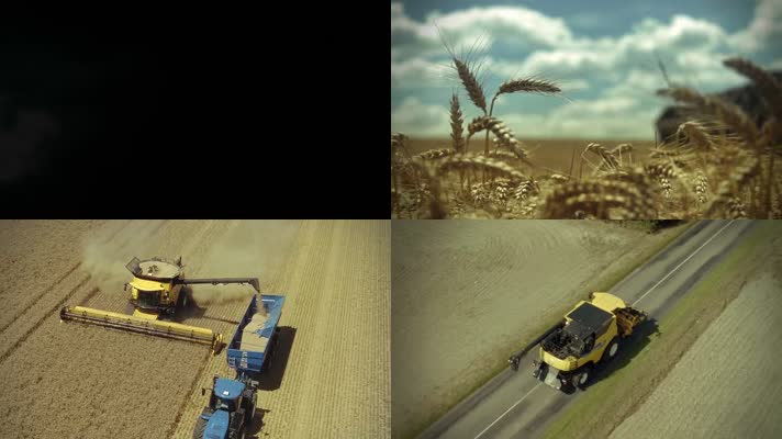 小麦丰收粮食丰收季节农业科技