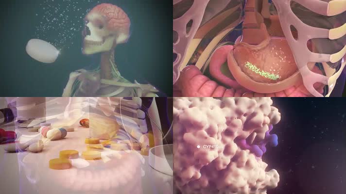 人体如何吸收药物机理医学三维动画