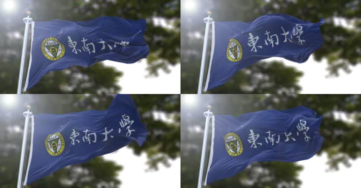 【4K】校旗·东南大学A