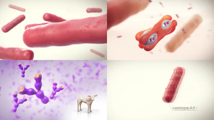 牛疫苗动物医疗三维机理动画
