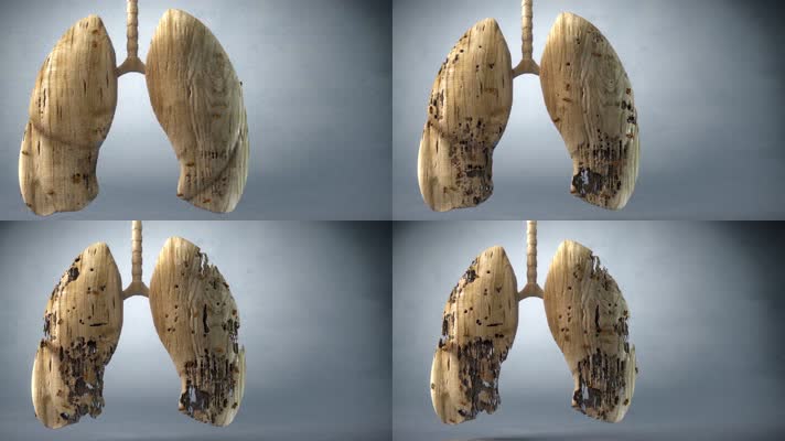 肺病肺健康蚂蚁食肺3D动画