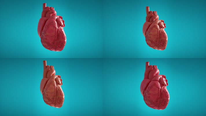 心脏跳动医学3D动画