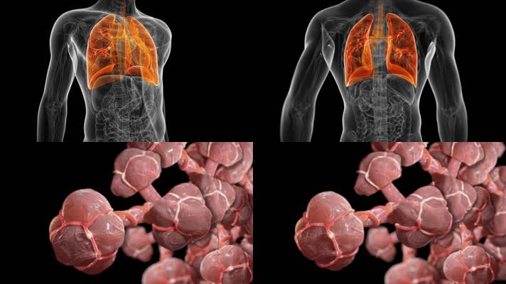 肺病呼吸疾病肺泡机理医学3D动画