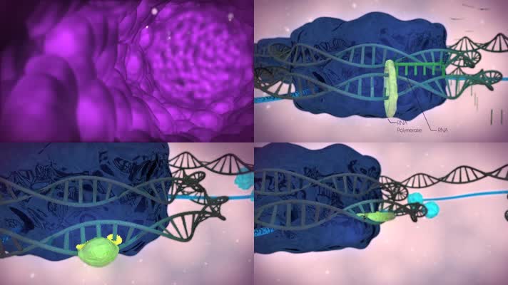 病毒细胞RNA基因链医疗类三维动画